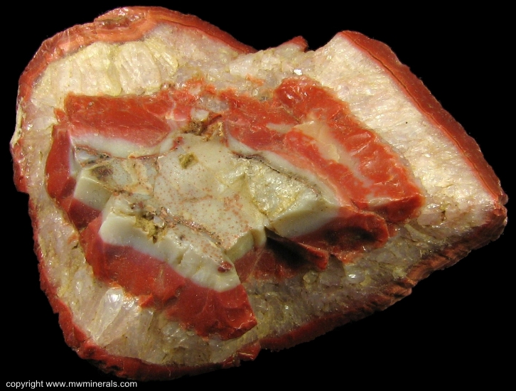 Mineral Specimen: Kentucky Agate Geode Section from Kentucky