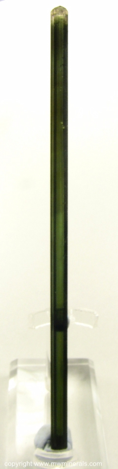 Mineral Specimen: Tourmaline from Santa Clara District, Arassuai, Minas Gerais, Brazil