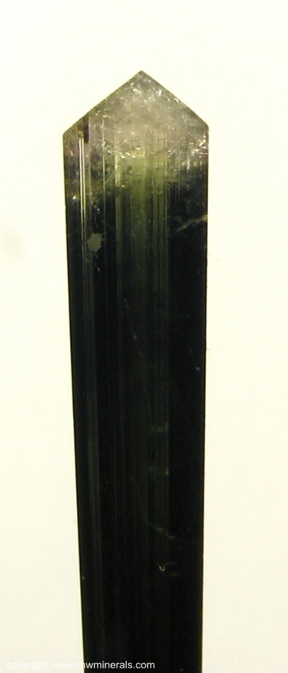 Mineral Specimen: Tourmaline from Santa Clara District, Arassuai, Minas Gerais, Brazil