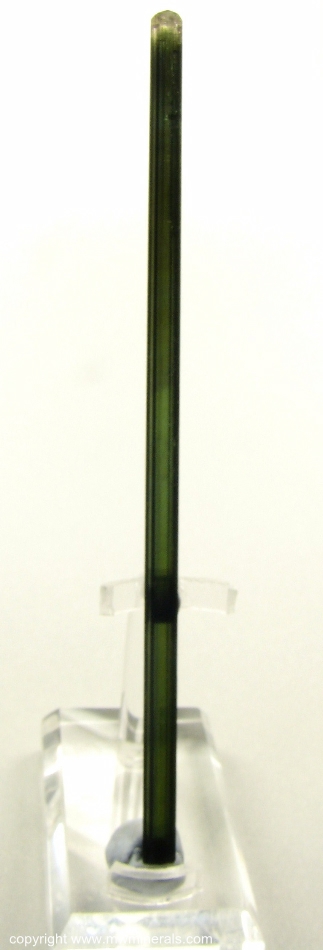 Mineral Specimen: Tourmaline from Santa Clara District, Arassuai, Minas Gerais, Brazil