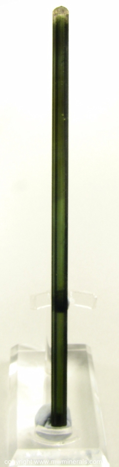 Mineral Specimen: Tourmaline from Santa Clara District, Arassuai, Minas Gerais, Brazil