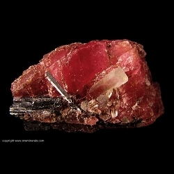 Minerals Specimen: Rhodochrosite, Hubnerite and Quartz from Pasto Bueno District, Pallasca Province, Ancash Department, Peru Minerals Specimen: Rhodochrosite, Hubnerite and Quartz from Pasto Bueno District, Pallasca Province, Ancash Department, Peru