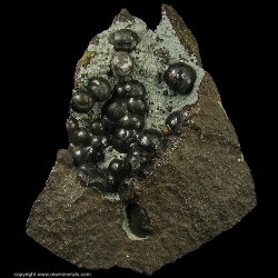 Minerals Specimen: Siderite variety: Spharosiderite from Minnick Hill, Dixie area, Dixie, Walla Walla Co., Washington, USA