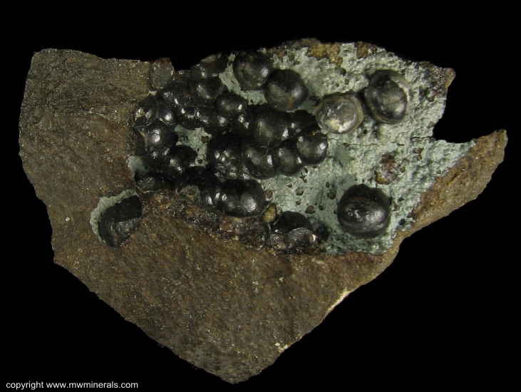 Mineral Specimen: Siderite variety: Spharosiderite from Minnick Hill, Dixie area, Dixie, Walla Walla Co., Washington, USA