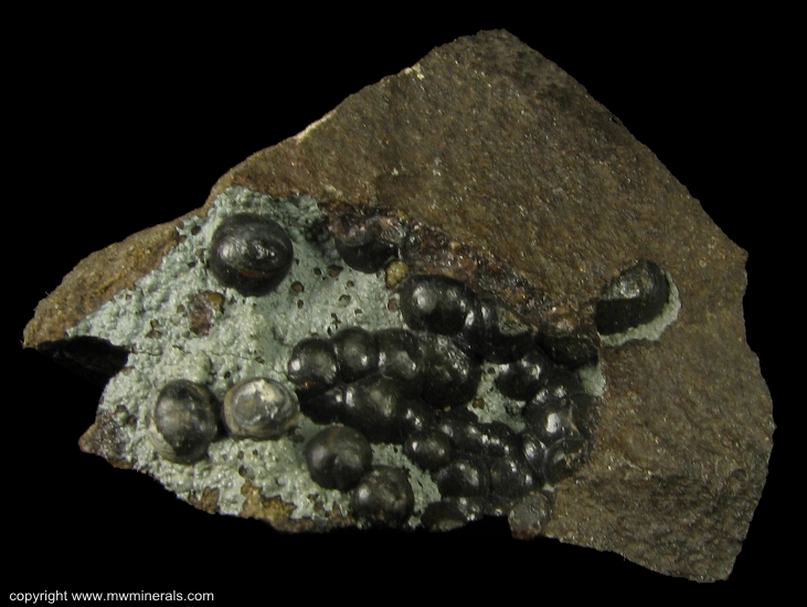 Mineral Specimen: Siderite variety: Spharosiderite from Minnick Hill, Dixie area, Dixie, Walla Walla Co., Washington, USA