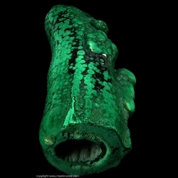 Minerals Specimen: Polished Hollow Malachite Stalactite from Katanga, Congo