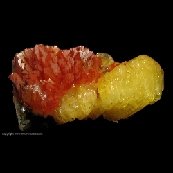 Minerals Specimen: Yellow and Red Adamaite from Mina Ojuela, Mapimi, Durango, Mexico Minerals Specimen: Yellow and Red Adamaite from Mina Ojuela, Mapimi, Durango, Mexico