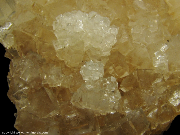 Mineral Specimen: Two Generations of Halite crystals from Kramer Borate deposit, Boron, Kramer District, Kern Co., California, USA