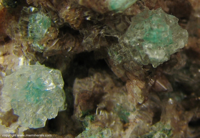 Mineral Specimen: Develine included in Selenite on Dolomite from Bou Bekker, Touissit, Oujda-Angad Province, Oriental Region, Morocco