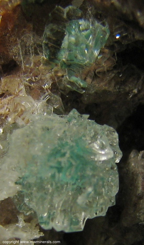 Mineral Specimen: Develine included in Selenite on Dolomite from Bou Bekker, Touissit, Oujda-Angad Province, Oriental Region, Morocco