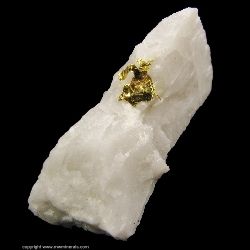 Minerals Specimen: Gold on Quartz from Harvard Mine, Jamestown, Mother Lode belt, Tuolumne Co., California, USA