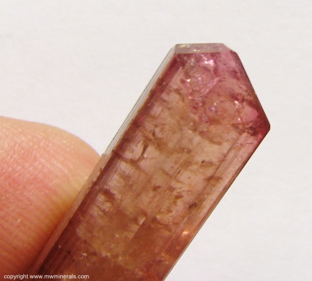 Mineral Specimen: Double Terminated Tourmaline from Malkhan pegmatite field, Krasnyi Chikoy, Chitinskaya Oblast', Transbaikalia, Eastern-Siberian Region, Russia