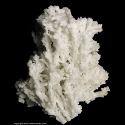 Mineral Specimen: Coralloidal Calcite from Southwest Mine, Bisbee, Warren District, Mule Mts, Cochise Co., Arizona, USA Mineral Specimen: Coralloidal Calcite from Southwest Mine, Bisbee, Warren District, Mule Mts, Cochise Co., Arizona, USA
