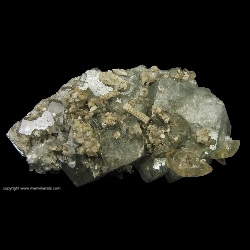 Minerals Specimen: Celestine with Crinoid Stem and Calcite from Findlay Arch, Ohio Minerals Specimen: Celestine with Crinoid Stem and Calcite from Findlay Arch, Ohio