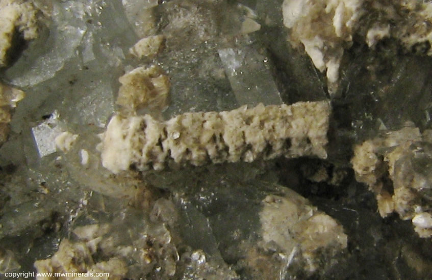 Mineral Specimen: Celestine with Crinoid Stem and Calcite from Findlay Arch, Ohio