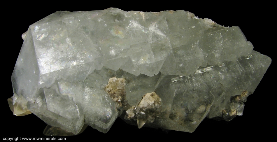Mineral Specimen: Celestine with Crinoid Stem and Calcite from Findlay Arch, Ohio