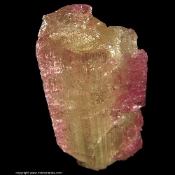 Minerals Specimen: Tourmaline (Elbaite) from Morro Redondo Mine, Coronel Murta, Jequitinhonha Valley, Minas Gerais, Brazil