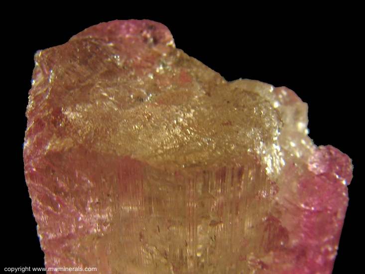 Mineral Specimen: Tourmaline (Elbaite) from Morro Redondo Mine, Coronel Murta, Jequitinhonha Valley, Minas Gerais, Brazil