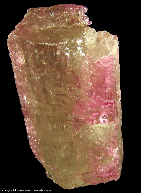 Mineral Specimen: Tourmaline (Elbaite) from Morro Redondo Mine, Coronel Murta, Jequitinhonha Valley, Minas Gerais, Brazil