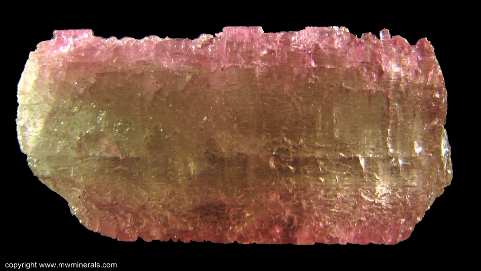 Mineral Specimen: Tourmaline (Elbaite) from Morro Redondo Mine, Coronel Murta, Jequitinhonha Valley, Minas Gerais, Brazil