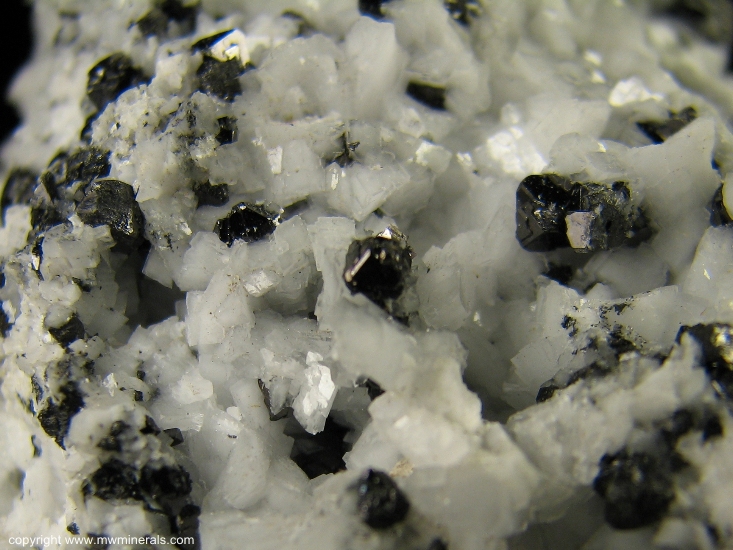 Mineral Specimen: Magnetite on Dolomite from New Idria District, Diablo Range, San Benito Co., California, USA