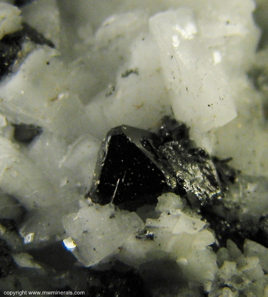 Mineral Specimen: Magnetite on Dolomite from New Idria District, Diablo Range, San Benito Co., California, USA