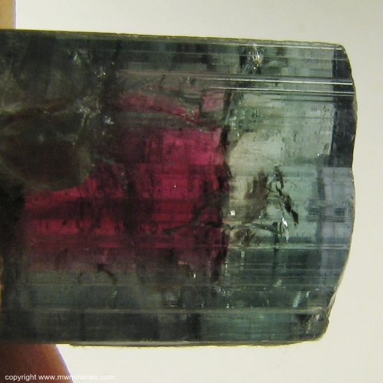 Mineral Specimen: Watermelon Tourmaline from Cruzeiro mine, Sao Jose da Safira, Doce valley, Minas Gerais, Brazil