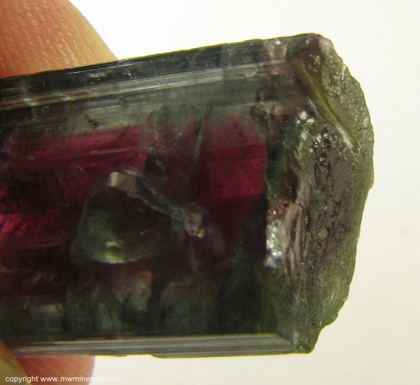 Mineral Specimen: Watermelon Tourmaline from Cruzeiro mine, Sao Jose da Safira, Doce valley, Minas Gerais, Brazil