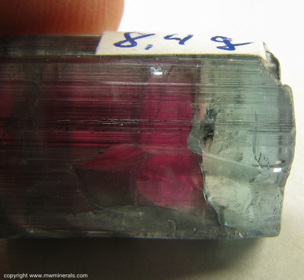 Mineral Specimen: Watermelon Tourmaline from Cruzeiro mine, Sao Jose da Safira, Doce valley, Minas Gerais, Brazil