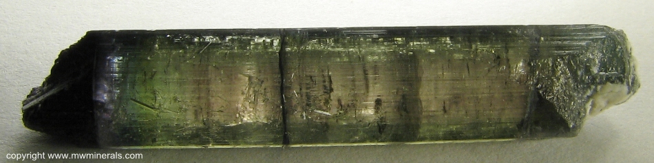 Mineral Specimen: Multicolor Tourmaline (Elbaite) from Parelhas, Borborema mineral province, Rio Grande do Norte, Brazil