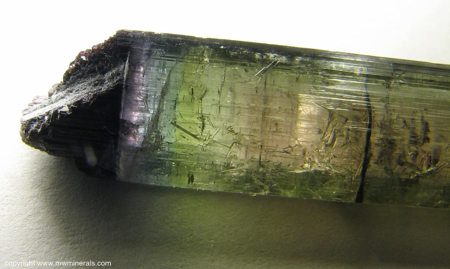 Mineral Specimen: Multicolor Tourmaline (Elbaite) from Parelhas, Borborema mineral province, Rio Grande do Norte, Brazil