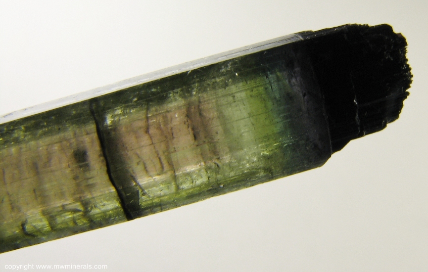 Mineral Specimen: Multicolor Tourmaline (Elbaite) from Parelhas, Borborema mineral province, Rio Grande do Norte, Brazil