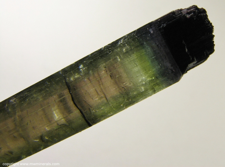 Mineral Specimen: Multicolor Tourmaline (Elbaite) from Parelhas, Borborema mineral province, Rio Grande do Norte, Brazil