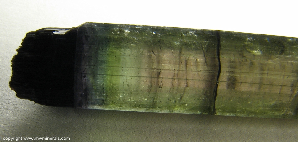 Mineral Specimen: Multicolor Tourmaline (Elbaite) from Parelhas, Borborema mineral province, Rio Grande do Norte, Brazil