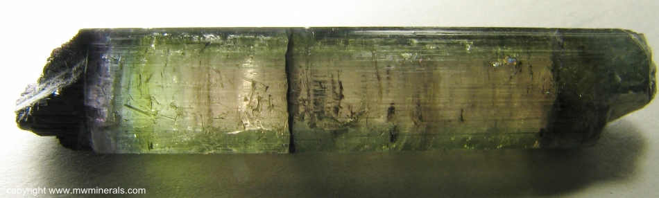 Mineral Specimen: Multicolor Tourmaline (Elbaite) from Parelhas, Borborema mineral province, Rio Grande do Norte, Brazil