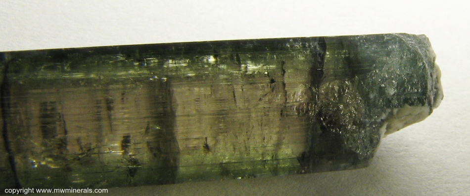 Mineral Specimen: Multicolor Tourmaline (Elbaite) from Parelhas, Borborema mineral province, Rio Grande do Norte, Brazil
