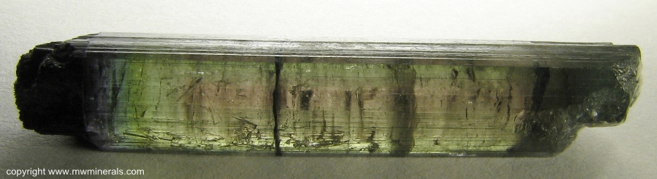 Mineral Specimen: Multicolor Tourmaline (Elbaite) from Parelhas, Borborema mineral province, Rio Grande do Norte, Brazil