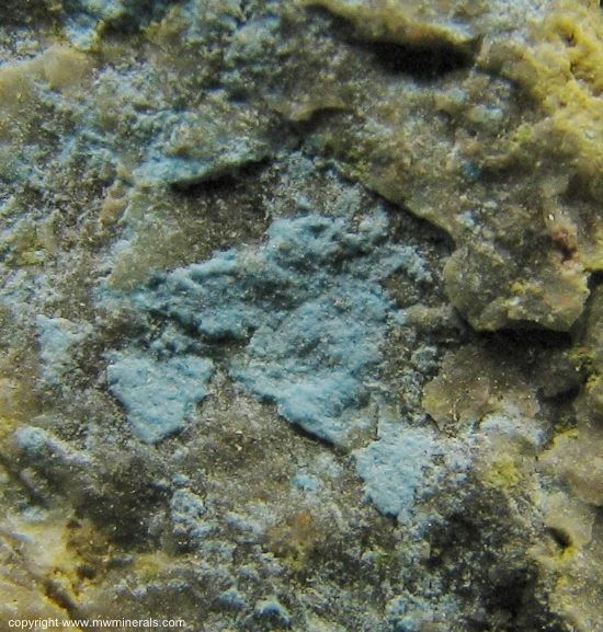 Mineral Specimen: Ceruelite with Schlossmacherite from Emma Luisa Mine, Guanaco, Santa Catalina, Antofagasta, Chile