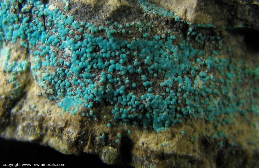 Mineral Specimen: Mcguinnessite from Basic Refractories mine, Gabbs District, Nye Co., Nevada, USA