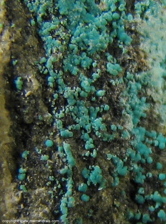Mineral Specimen: Mcguinnessite from Basic Refractories mine, Gabbs District, Nye Co., Nevada, USA