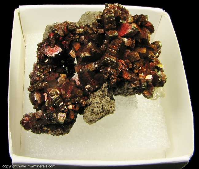 Mineral Specimen: Marcasite from Buick Mine, Bixby, Viburnum Trend District, Iron Co., Missouri, USA